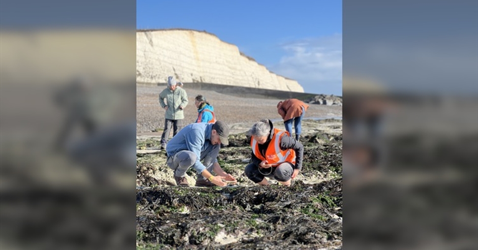 The Big Rock Pool Challenge BioBlitz Battle