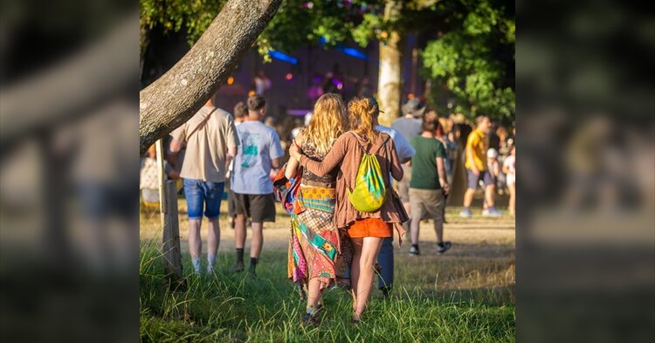 Good Vibrations Society