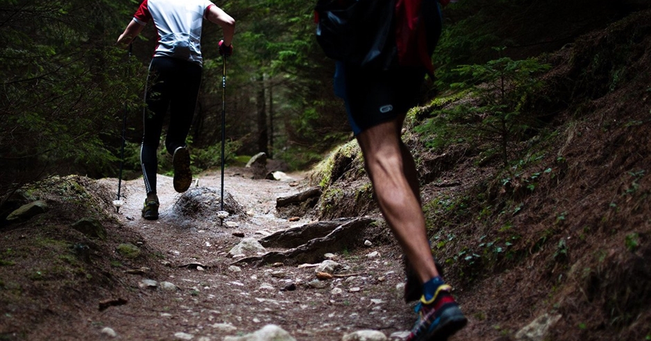 Decorative Paint Techniques