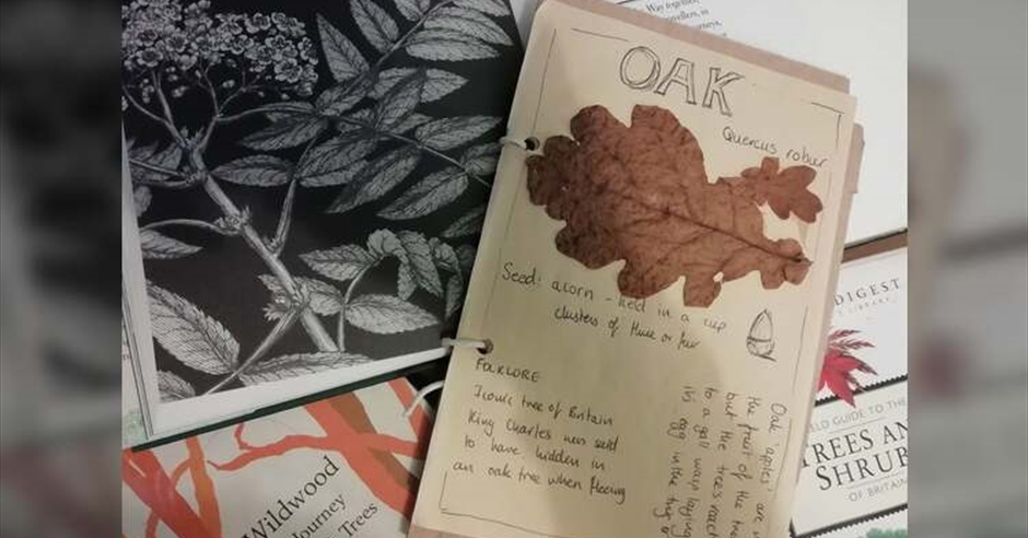 Tree Identification Guided Walk