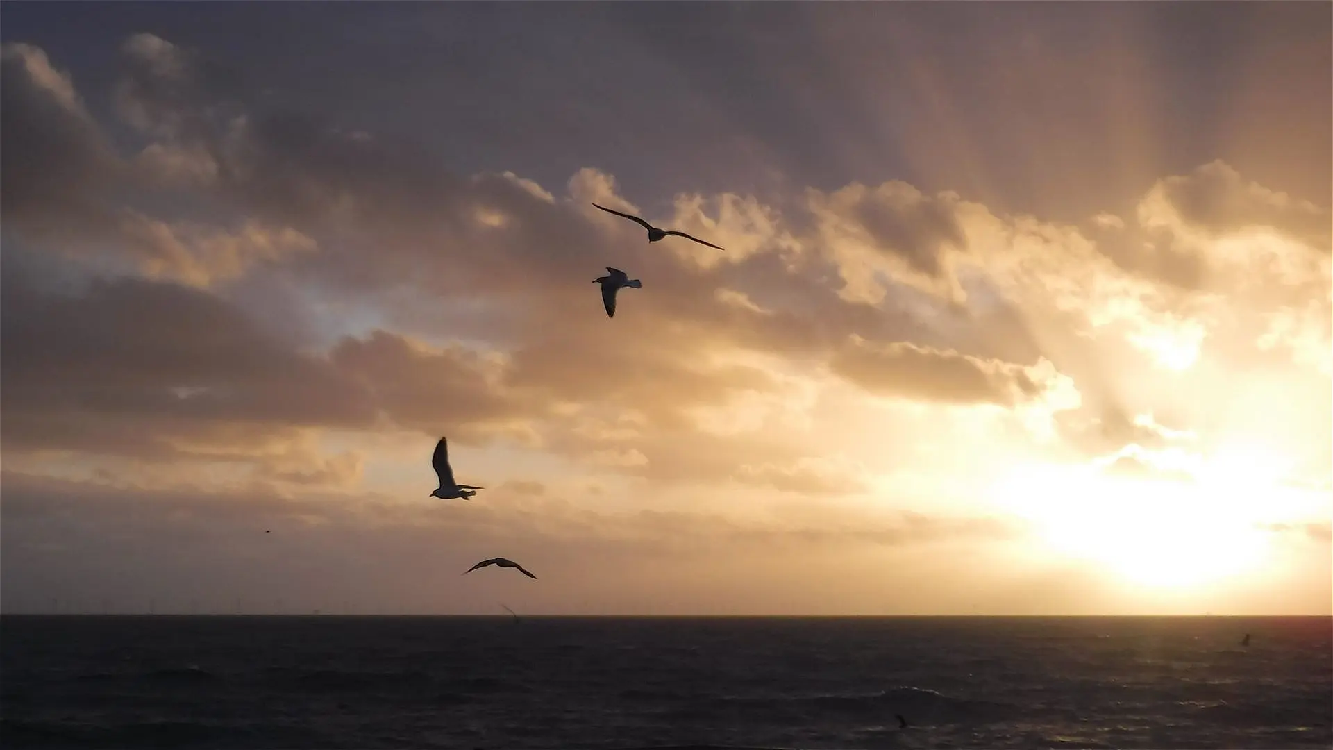 As the Winds and Waters Are