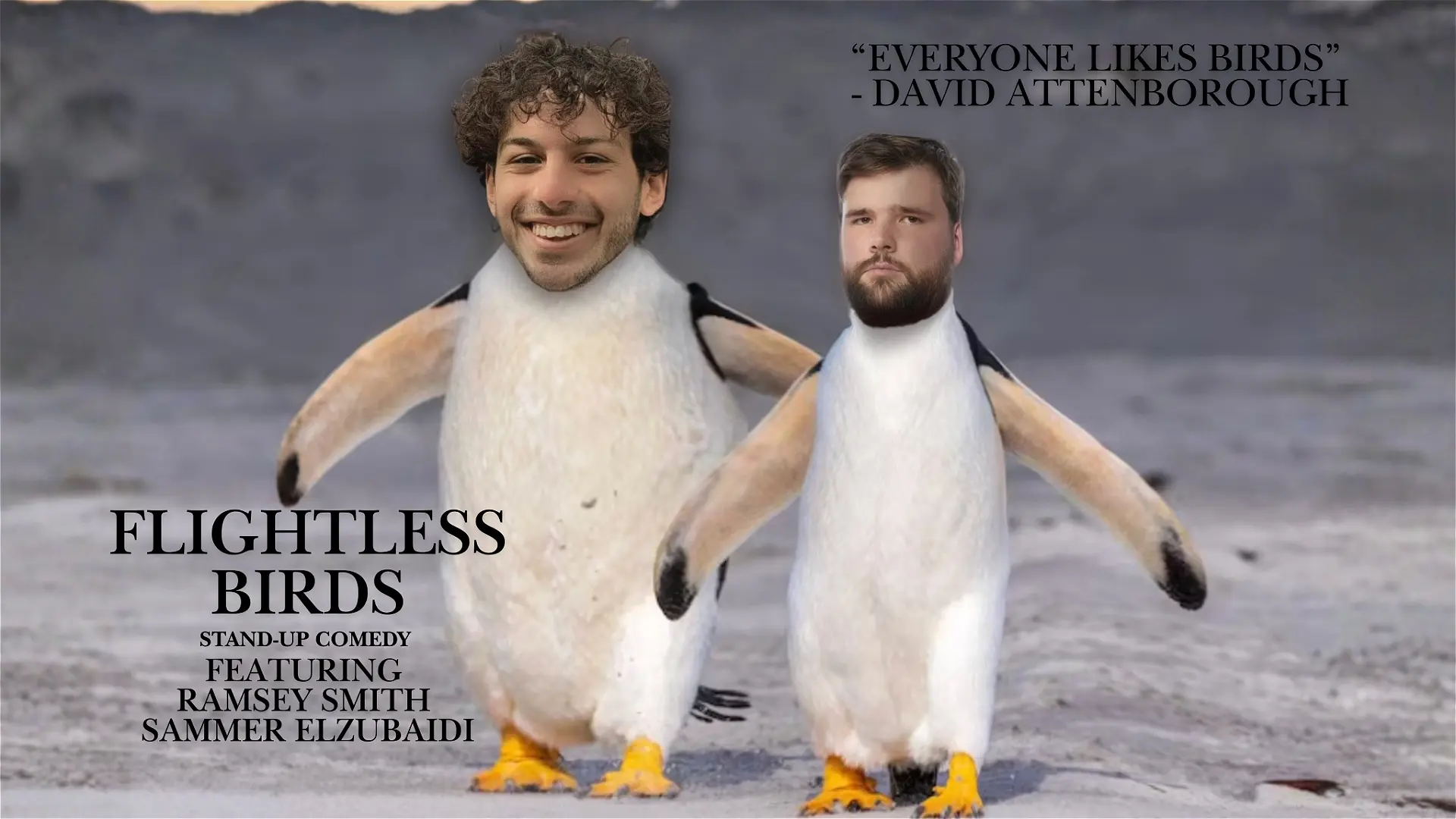 Flightless Birds