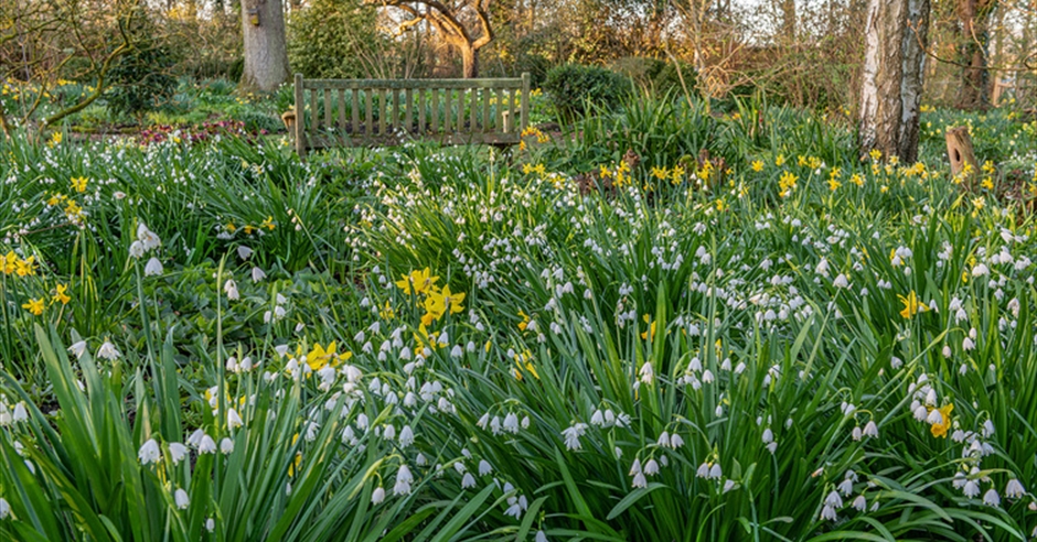 Spring Garden Tutorial