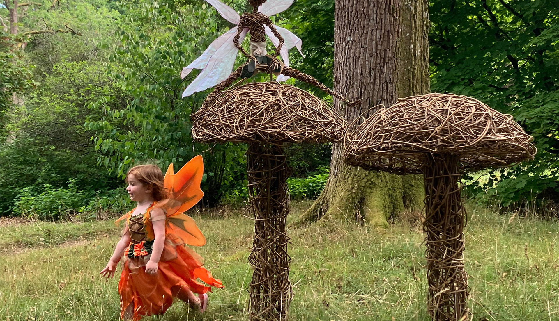 The Fairy & Dragon Trail at High Beeches Garden