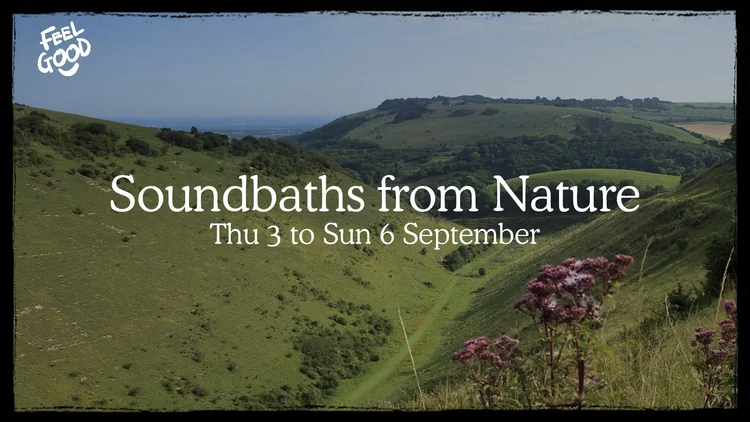 Soundbaths from Nature