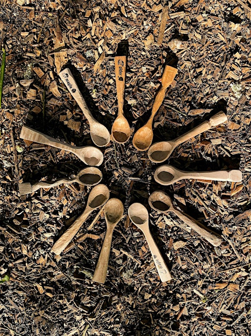 Woodland Spoon Carving by the Fire – 4hr Workshop in Stanmer Park
