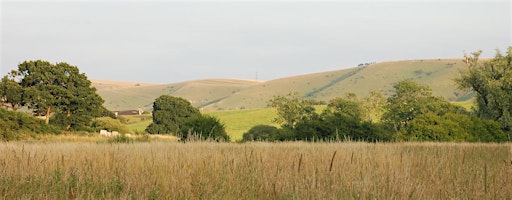 Depicting Landscape in Art – Early Autumn Colour, Henfield (100337035)