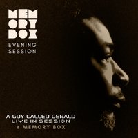 Memory Box with A Guy Called Gerald (Live) - Evening Session